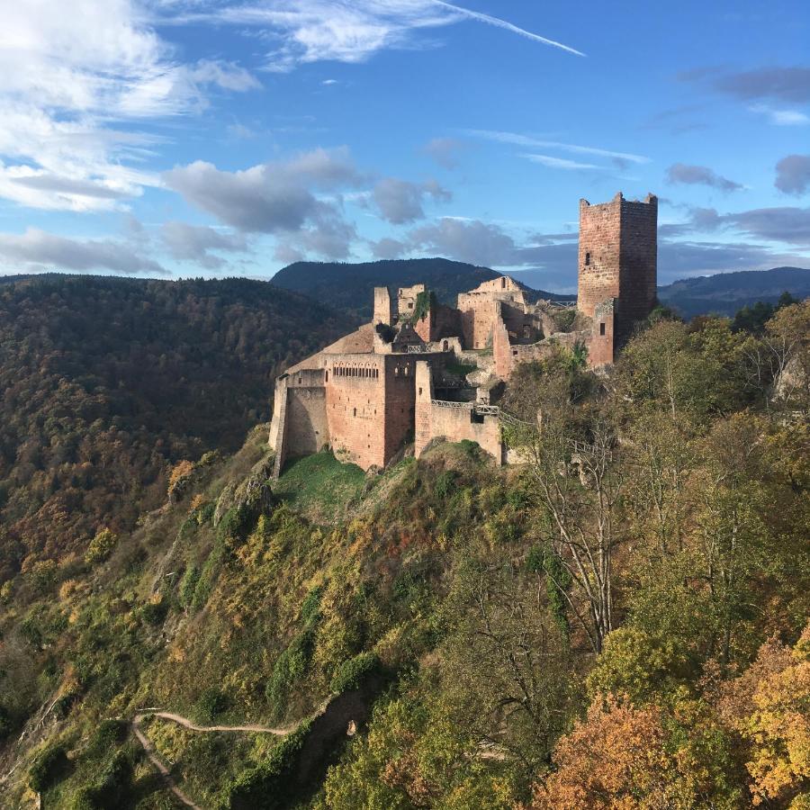 Le Gite Du Moulin Ribeauville  Bagian luar foto