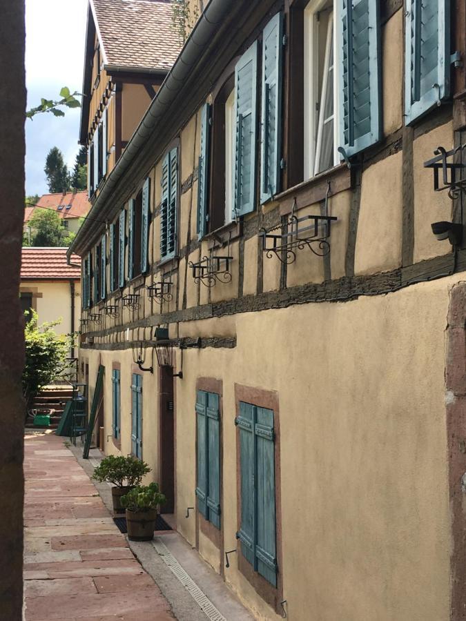 Le Gite Du Moulin Ribeauville  Bagian luar foto