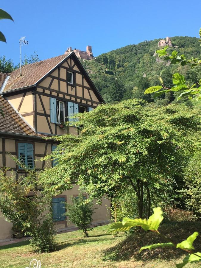 Le Gite Du Moulin Ribeauville  Bagian luar foto